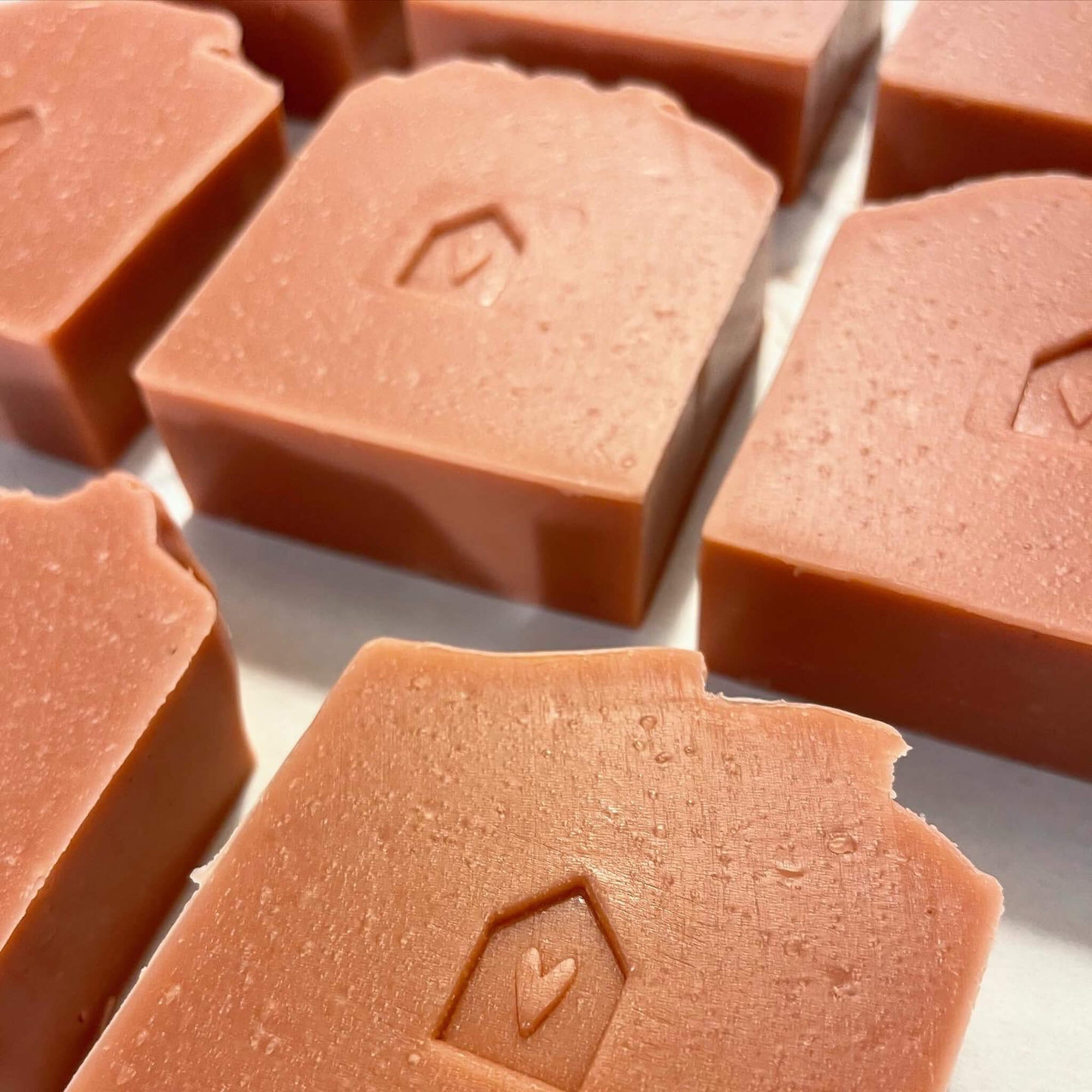 Hydrate + Shine Herbal Shampoo Bar